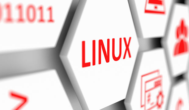  Linux para todos con el escritorio lxde es una gran distribución para cualquiera que valore el rendimiento en flash 