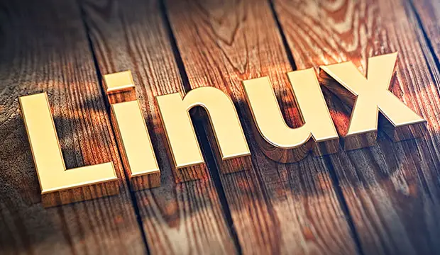  Linux 29 años 
