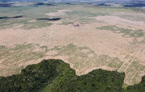  La deforestación de la selva amazónica aumentó 35% entre agosto de 2019 y julio de 2020 cuando más de 9.000 kilómetros cuadrados fueron devastados 
