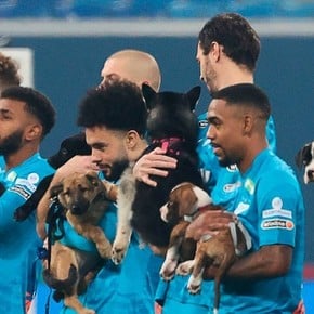 El gran gesto del Zenit con varios cachorros sin hogar