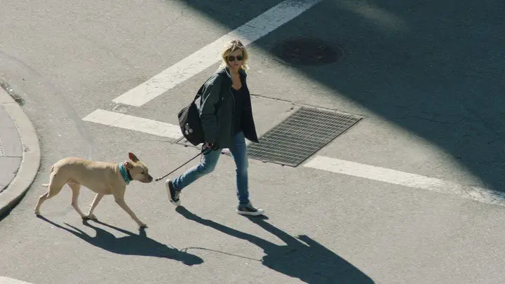 Sarma Melngailis y su perro. La serie cuenta un fraude enorme. Foto Netflix