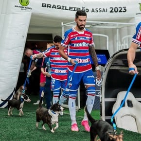 Video: la particular campaña de Fortaleza de Brasil para la adopción de perros
